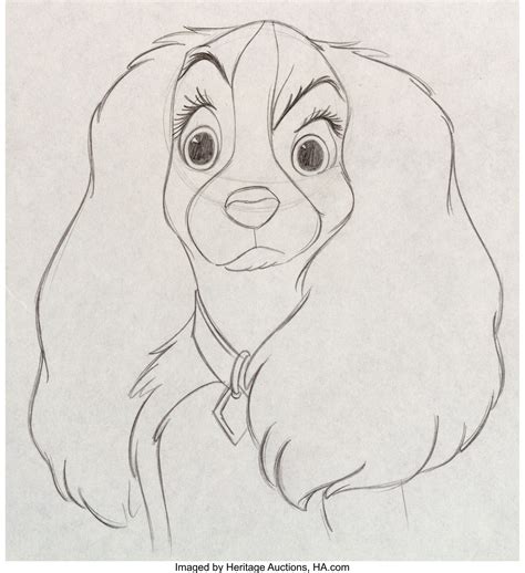 Lady and the Tramp Lady Animation Drawing (Walt Disney, 1955). | Disney