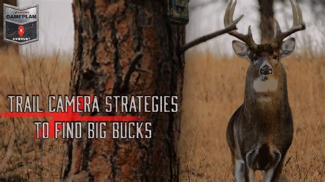 Trail Camera Strategies To Find Big Bucks Onx Hunt Gameplan Season