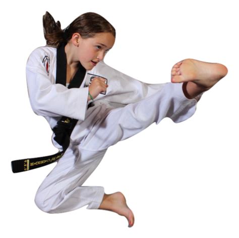 Discover and download free taekwondo png images on pngitem. Taekwondo PNG