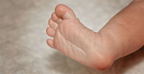 Free Images Hand Sweet Feet Cute Leg Finger Small Child Arm