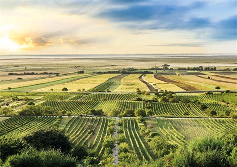 Burgenland Die Sonnenseite Österreichs Reiseberichte Reisetipps