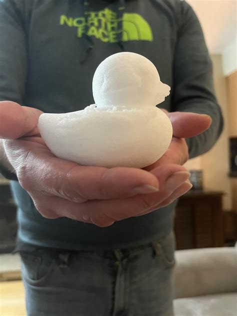 This Thing Is Amazing Snow Duck Mold R3dprinting