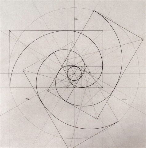 sacred geometry spiral fibonacci