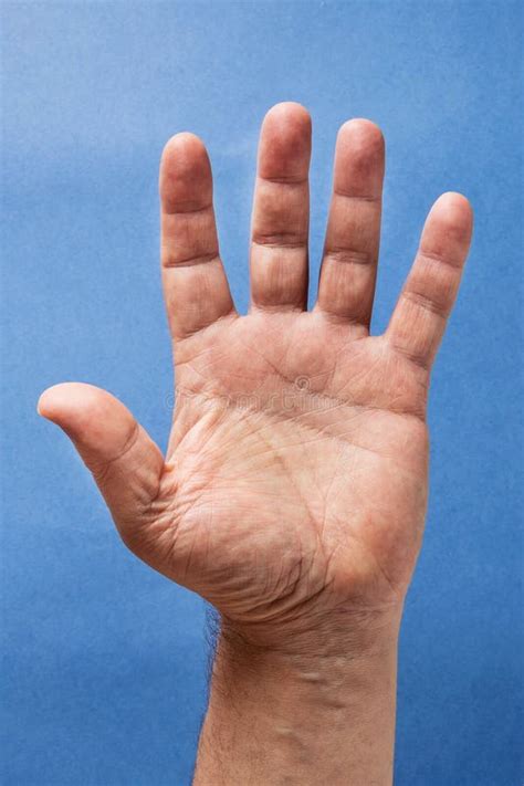 Human Hand Open Palm Part Of The Body On A Blue Background Close Up