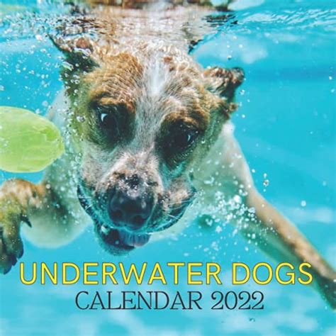 Underwater Dogs Calendar 2022 Monthly Planner From July 2021 To