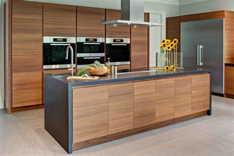 Sleek And Sophisticated Modern Kitchen Trend Best Online Cabinets