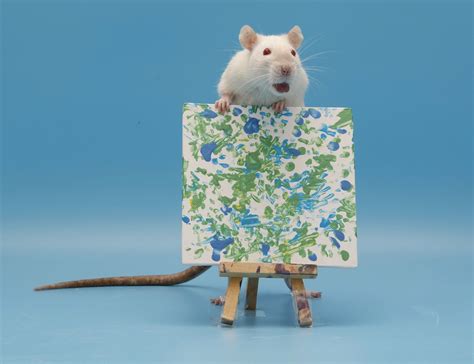 Rat Painting X Etsy