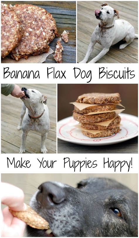 All these recipes are vegan and take between 5 and 25 minutes to prepare. Blissful Banana Flax Vegan Dog Biscuits | Recipe | Diy dog treats, Dog biscuits, Homemade dog