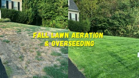 Fall Lawn Aeration And Overseeding Will Put Your Lawn In A Good