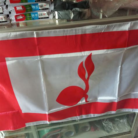 Jual Bendera Tunas Kelapa Pramuka Ukuran 60cm × 90cm Kab Bekasi