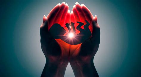 Por isso tem sido objetivo e constantes discussões ao. La Biblia y el Aborto - Semillas de Vida