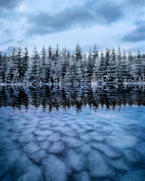 Frozen Lake Östergötland County Sweden By Nature And Portrait