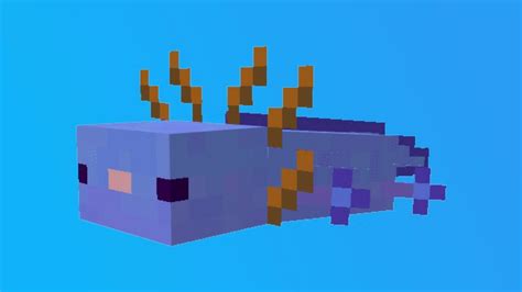 What Is The Rarest Axolotl In Minecraft And How To Get It Firstsportz