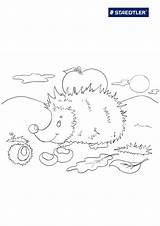 Hedgehog Coloring Realistic Template Coloringtop sketch template