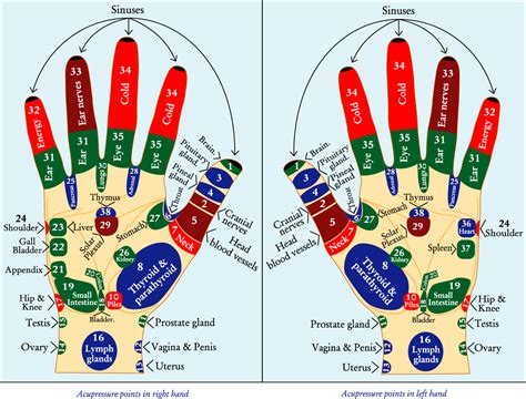 Hand Acupressure Points Chart