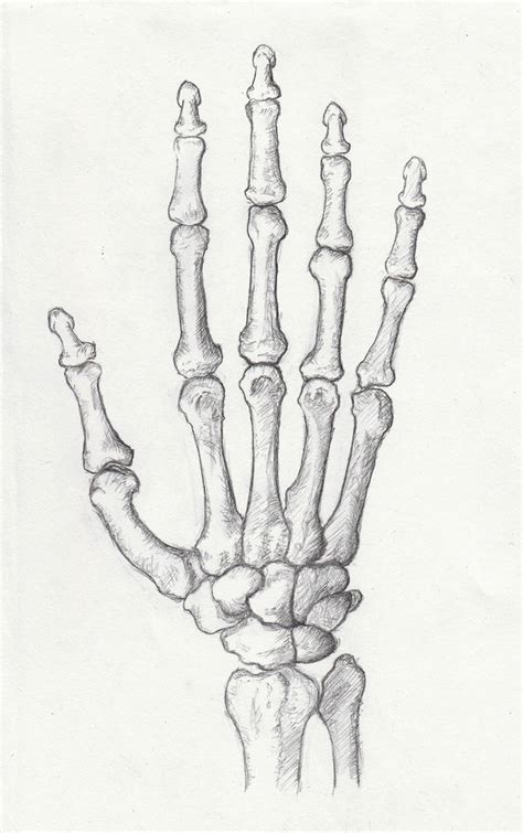 Bones In Your Hand By Mavinci On Deviantart