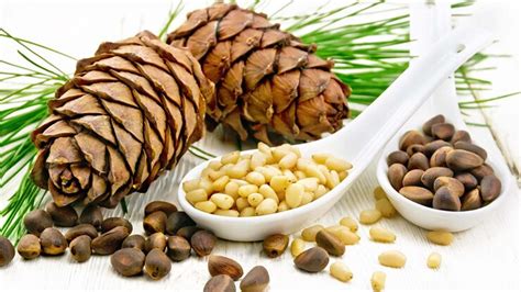 Pine Nuts Nutrition Health Benefits And How To Include In Diet