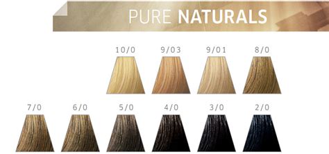 Eine inspirierende farbkarte für alle ansprüche: Wella Color Touch Pure Naturals 60ml - Kappershandel