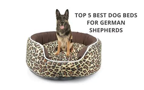 Top 5 Best Dog Beds For German Shepherds Reviews And Buying Guide