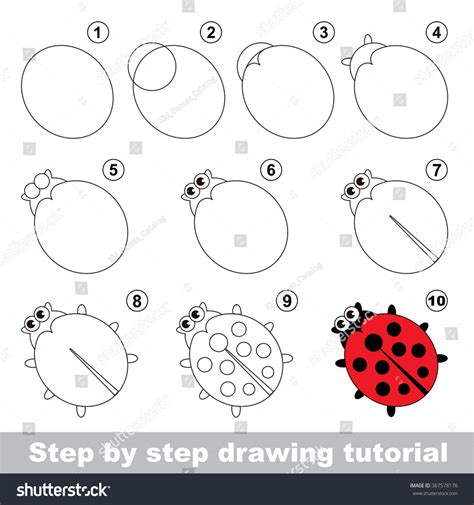 How To Draw Ladybird Step By Step At Drawing Tutorials