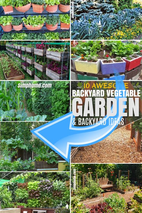 10 Backyard Vegetable Garden Ideas Simphome