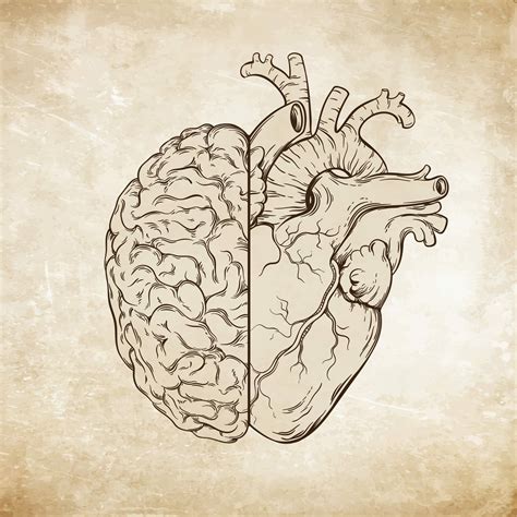 Your Heart Has Its Own Brain Heartbrain Learn How To Activate Heart