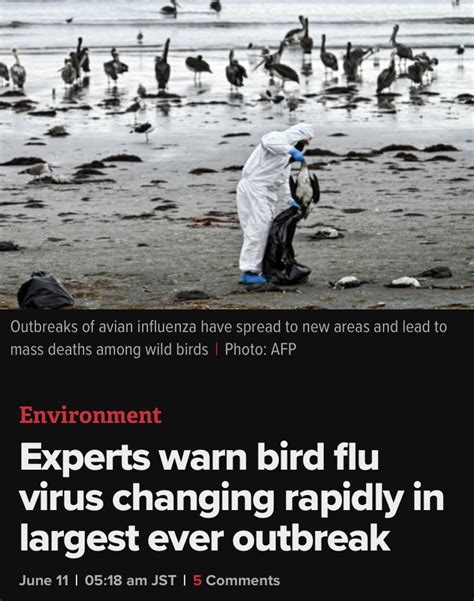 working people are the power 🇫🇷 on twitter rt themckenziest this is now the bird flu thread