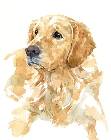Golden Labrador Retriever 8x10 Watercolor Watercolor Paintings Easy