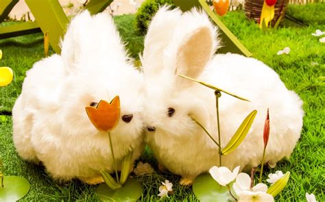 A List Of 199 Cute Bunny Names For Your Fuzzball