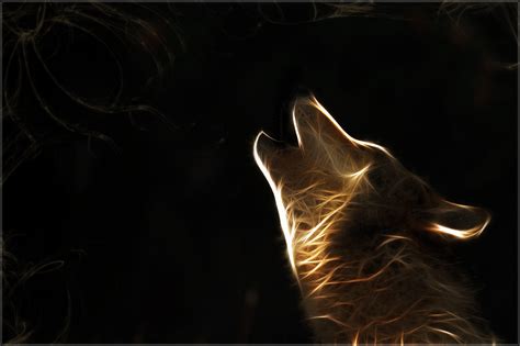 Wolf wallpapers in ultra hd or 4k. Cool Wolf Wallpapers (59+ images)