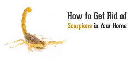 Learn how to get a pest control licence and the pest control courses that. Blue Sky Pest Control - Blog