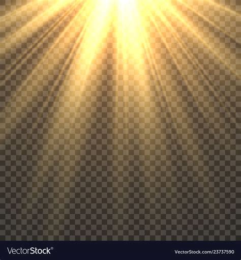 Sunlight Isolated Sun Light Effect Golden Sun Vector Image