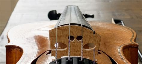 Strings On A Violin Spacotin