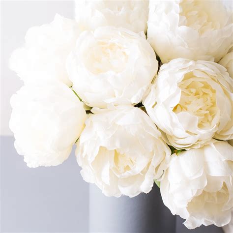 The Gentle World Of White Peony 7 Remarkable Uses