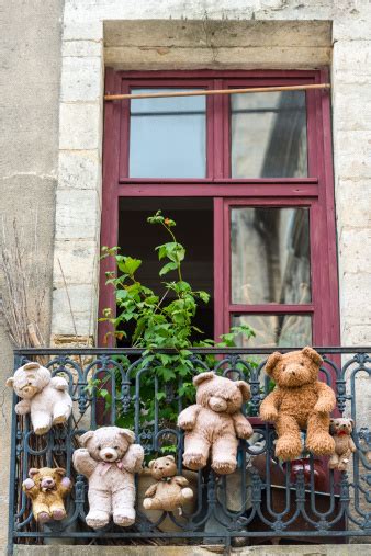 Uzes Hanged Teddy Bears Stock Photo Download Image Now Animal