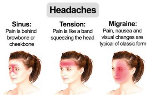The external ear, the middle ear, and the inner ear.the external ear functions to capture and direct sound waves through the external acoustic meatus to reach the tympanic membrane (ear drum). Liver Pain: Location, Causes and Treatment | HubPages