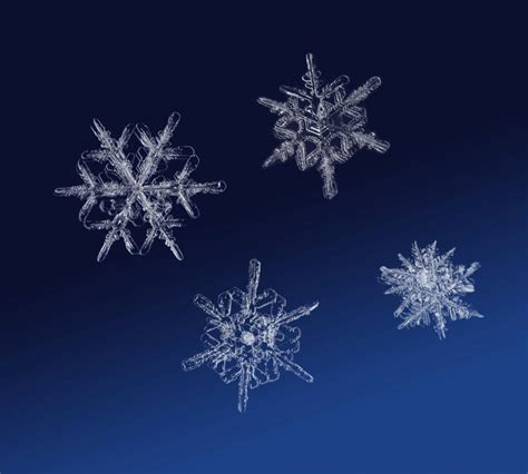 Is It True That No Two Snowflakes Are Alike