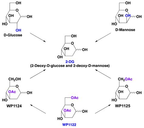 Structures Of D Mannose D Glucose 2 Dg 2 Deoxy D Glucose