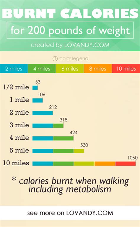 The more you weigh or the higher your speed (higher. Calories Burned by Walking - How To Calculate?