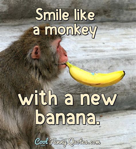 Albums 100 Wallpaper Memes Funny Monkey Pictures With Captions Stunning