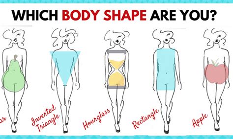 Take A Body Type Test By Answering A Few Easy Questions About Yourself