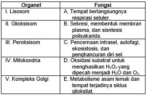 Tabel Fungsi Organel