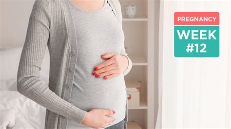 12 Weeks Pregnant Smart Parenting