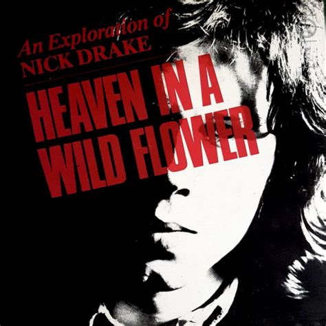 Nick Drake Heaven In A Wild Flower An Exploration Of Nick Drake