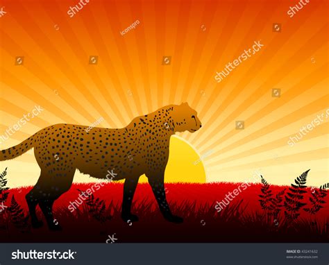 Cheetah On Sunset Background Original Vector เวกเตอร์สต็อก ปลอดค่า