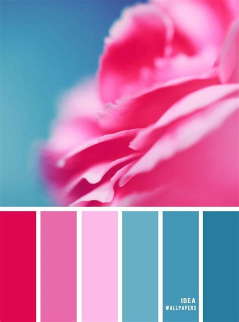 Pink Teal Rose Color Palette Teal Color Palette Color Palette Images