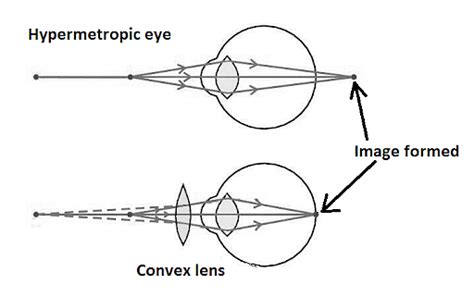 Uses Of Convex Lens Applications Of Convex Lens In Everyday Life