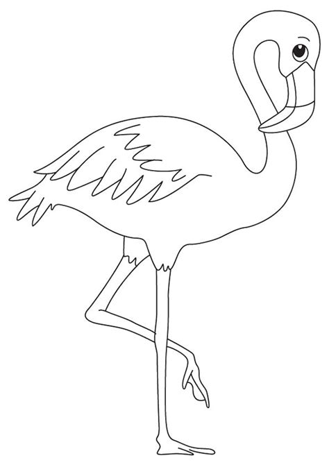 Print Coloring Image MomJunction Flamingo Coloring Page Bird