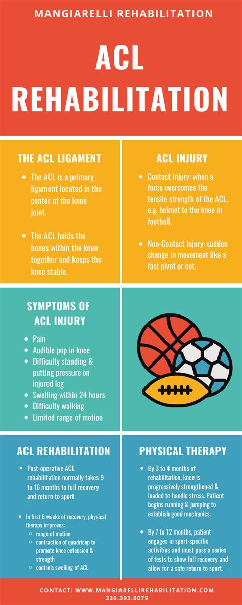 Acl Rehabilitation Infographic Mangiarelli Rehabilitation