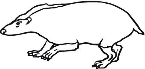 Free printable black and white badger coloring page in vector format, easy to print from any device and automatically fit any paper size. Badger coloring page - Animals Town - animals color sheet ...